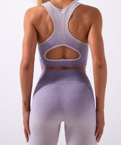 Adapt Ombre Women Workout Seamless Bra with Yoga Shorts