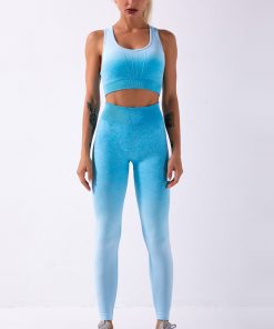Adapt Ombre Women Clothing Seamless Bra with Yoga Leggings