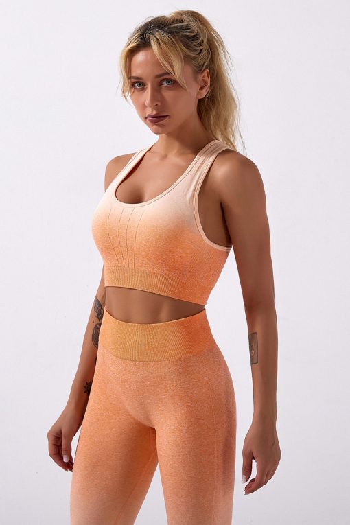 Adapt Ombre Women Clothing Seamless Bra with Yoga Leggings