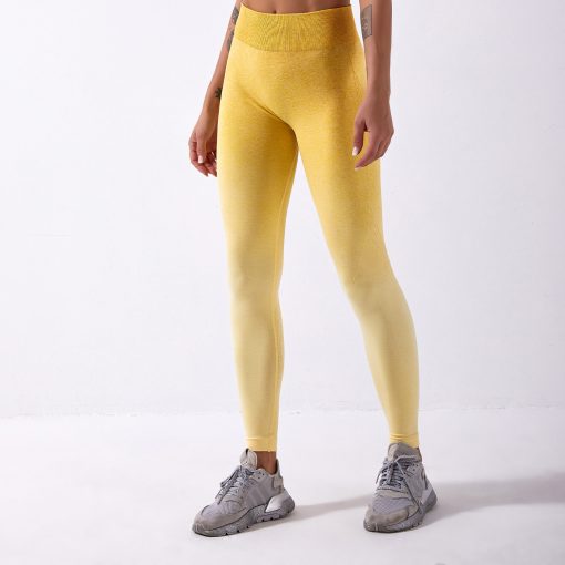 Fitness Sportswear Adapt Seamless Leggings